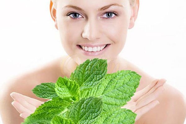 Công dụng làm đẹp trị mụn của dầu bạc hà