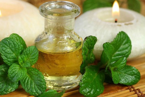 những công dụng làm đẹp vượt trội của dầu bạc hà