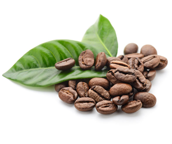 Những mẹo làm đẹp với cà phê này bạn đã biết chưa?