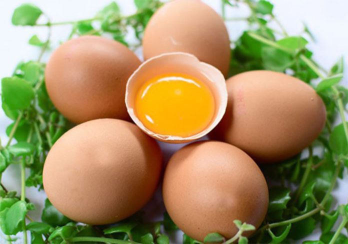 mẹo làm trắng da mặt cấp tốc bằng trứng gà an toàn hiệu quả
