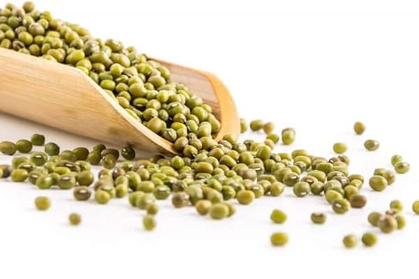 Thông tin về đậu xanh