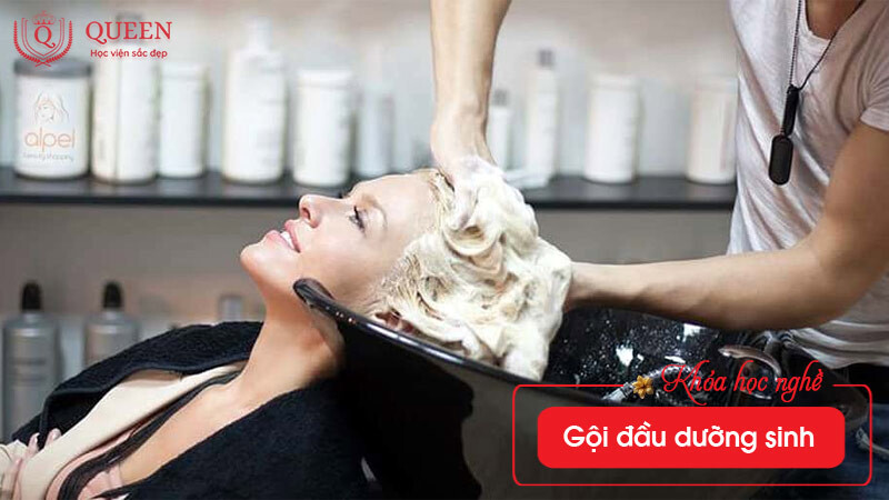 khoa-hoc-goi-dau-duong-sinh