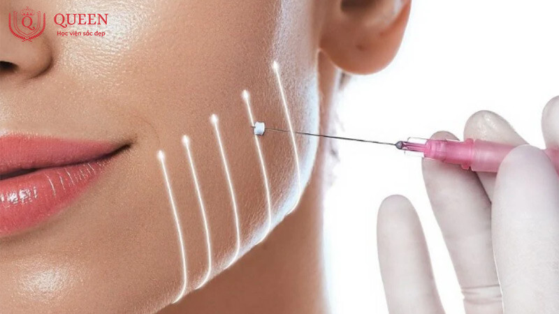 tong-quan-ve-khoa-hoc-cay-chi-tham-my