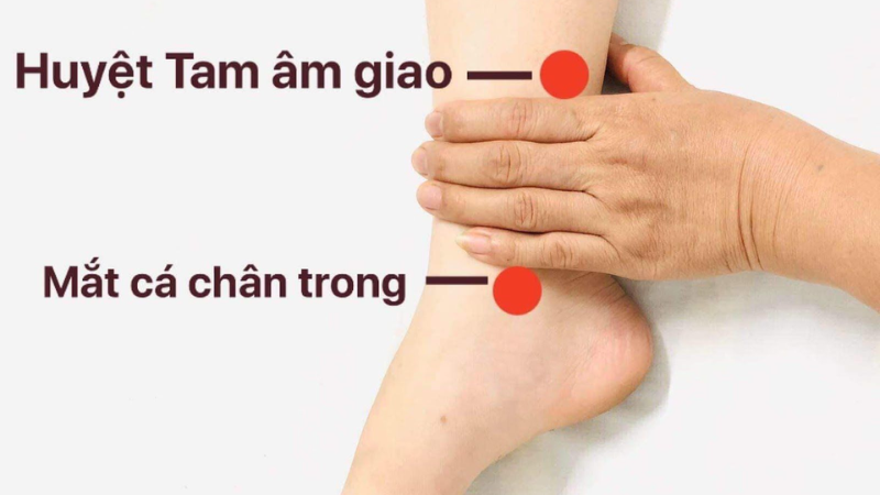 Huyệt Tam Âm Giao giúp giảm cân an toàn