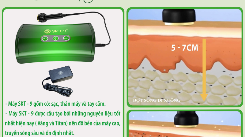 Nội dung chi tiết chương trình đào tạo học nghề Đông Y